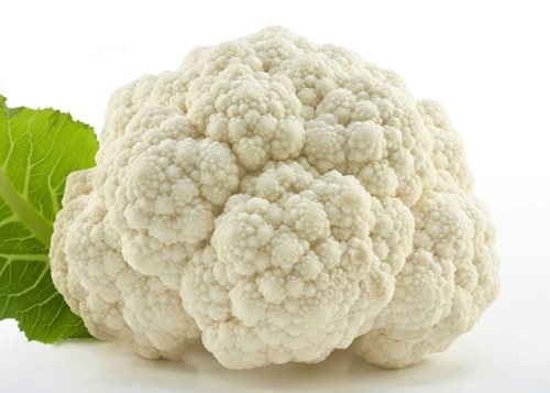 food rich in purine